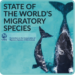 State World migratory species 